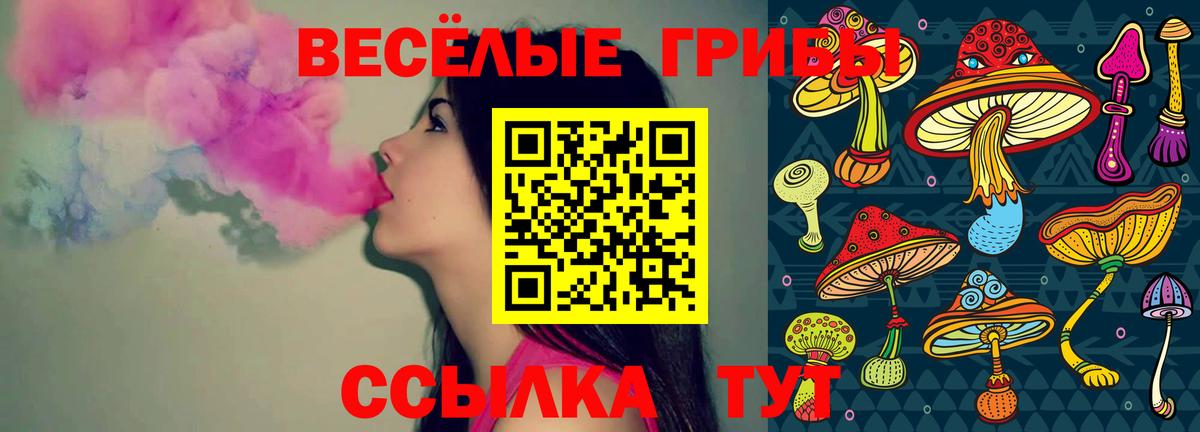 Псилоцибиновые грибы Psilocybine cubensis  Вход с VPN  Городец 